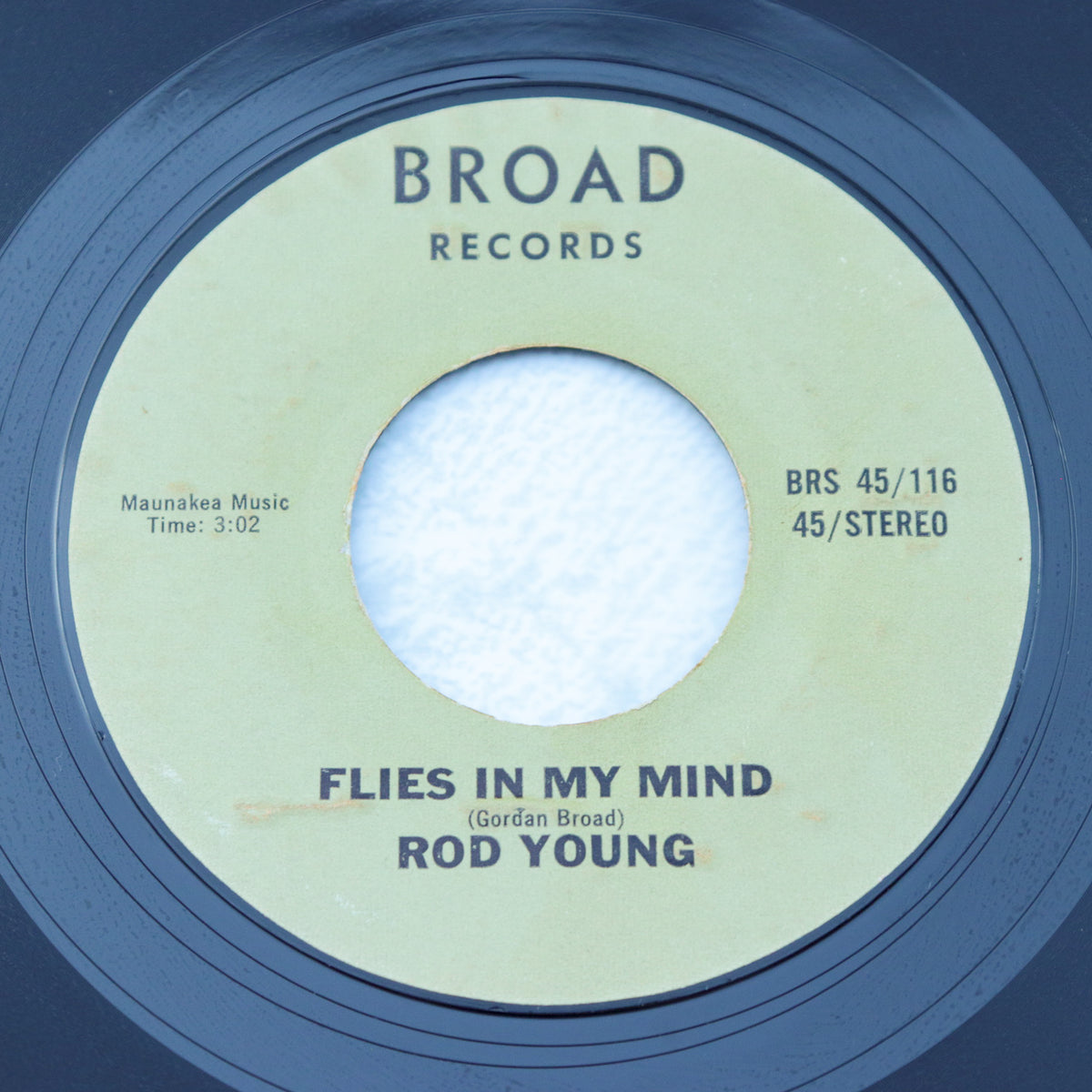 ROD YOUNG / Flies In My Mind