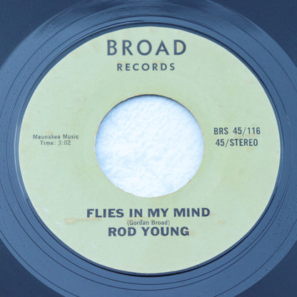 ROD YOUNG / Flies In My Mind