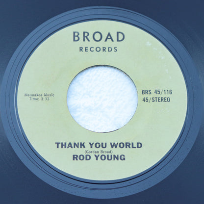 ROD YOUNG / Flies In My Mind