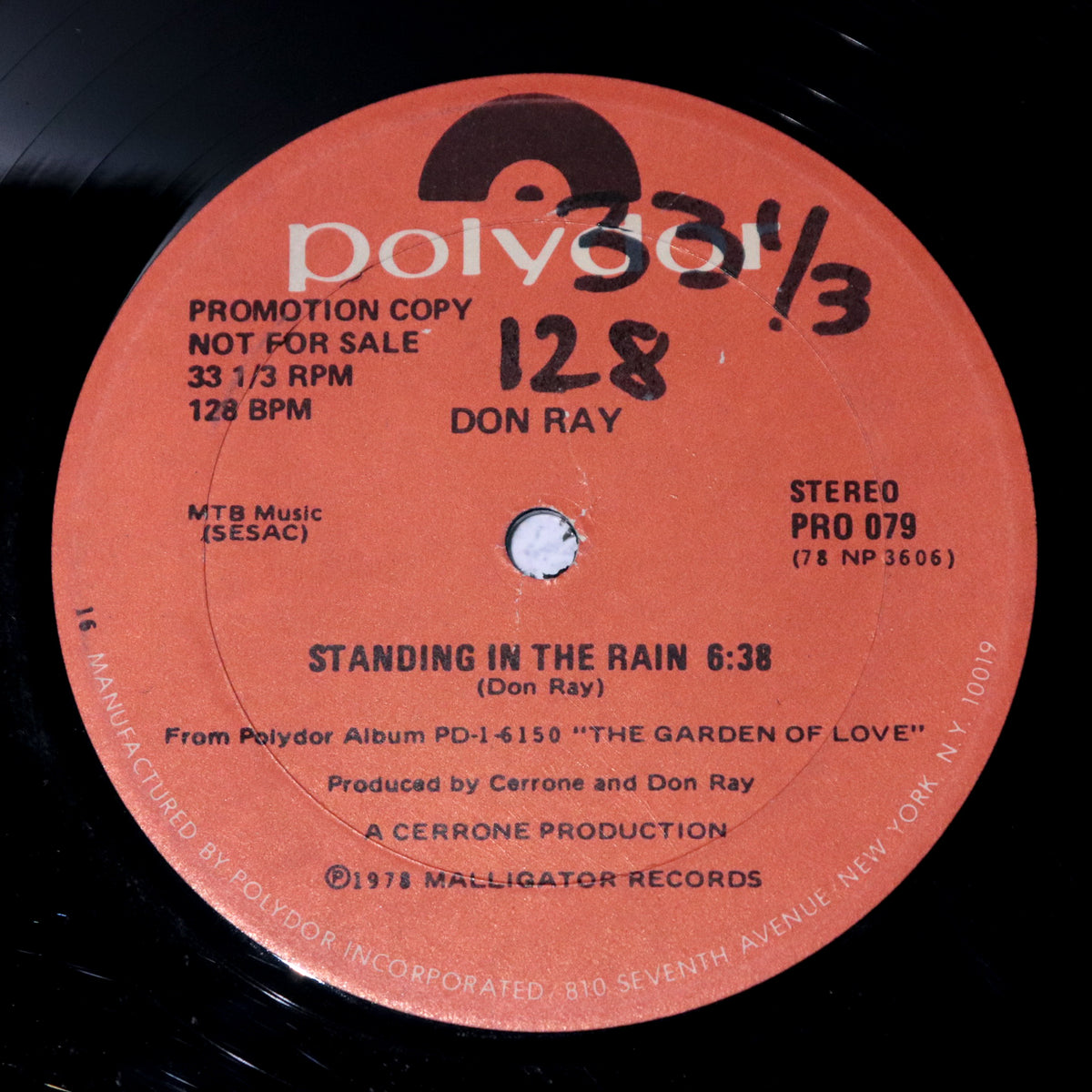 DON RAY / Standing In The Rain