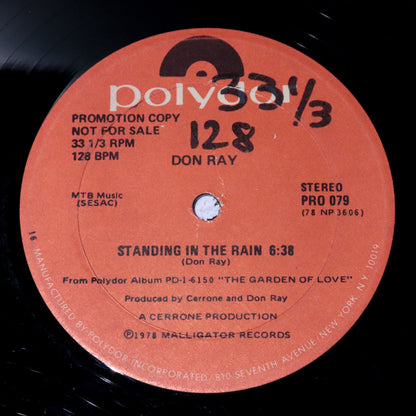 DON RAY / Standing In The Rain