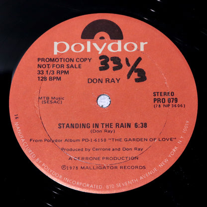 DON RAY / Standing In The Rain