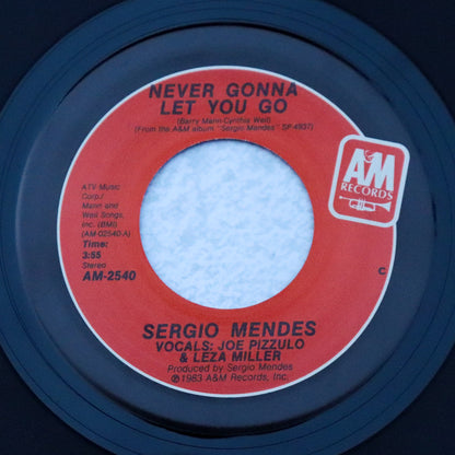 SERGIO MENDES / Never Gonna Let You Go