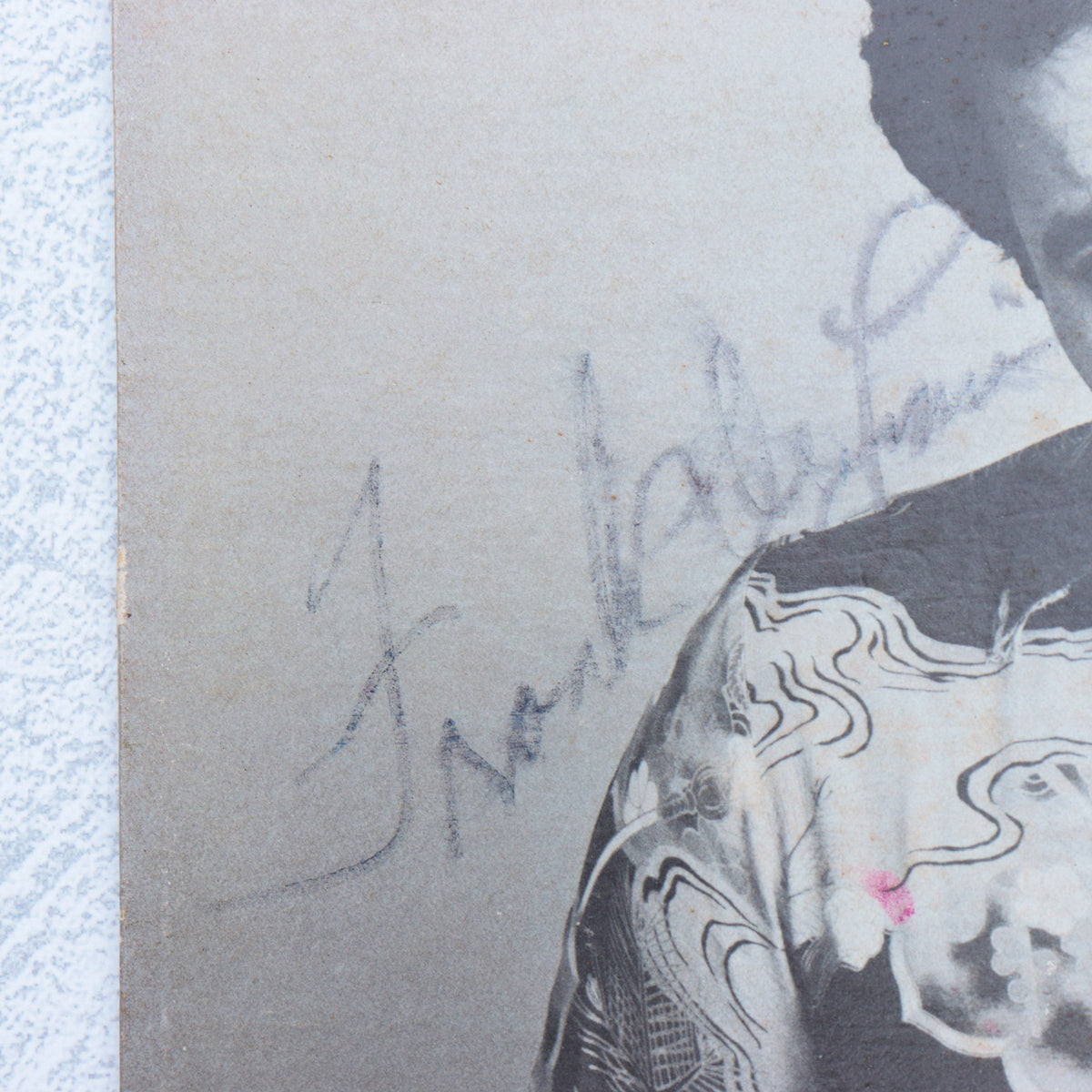 FRANK DE LIMA / Please Buy This Album!