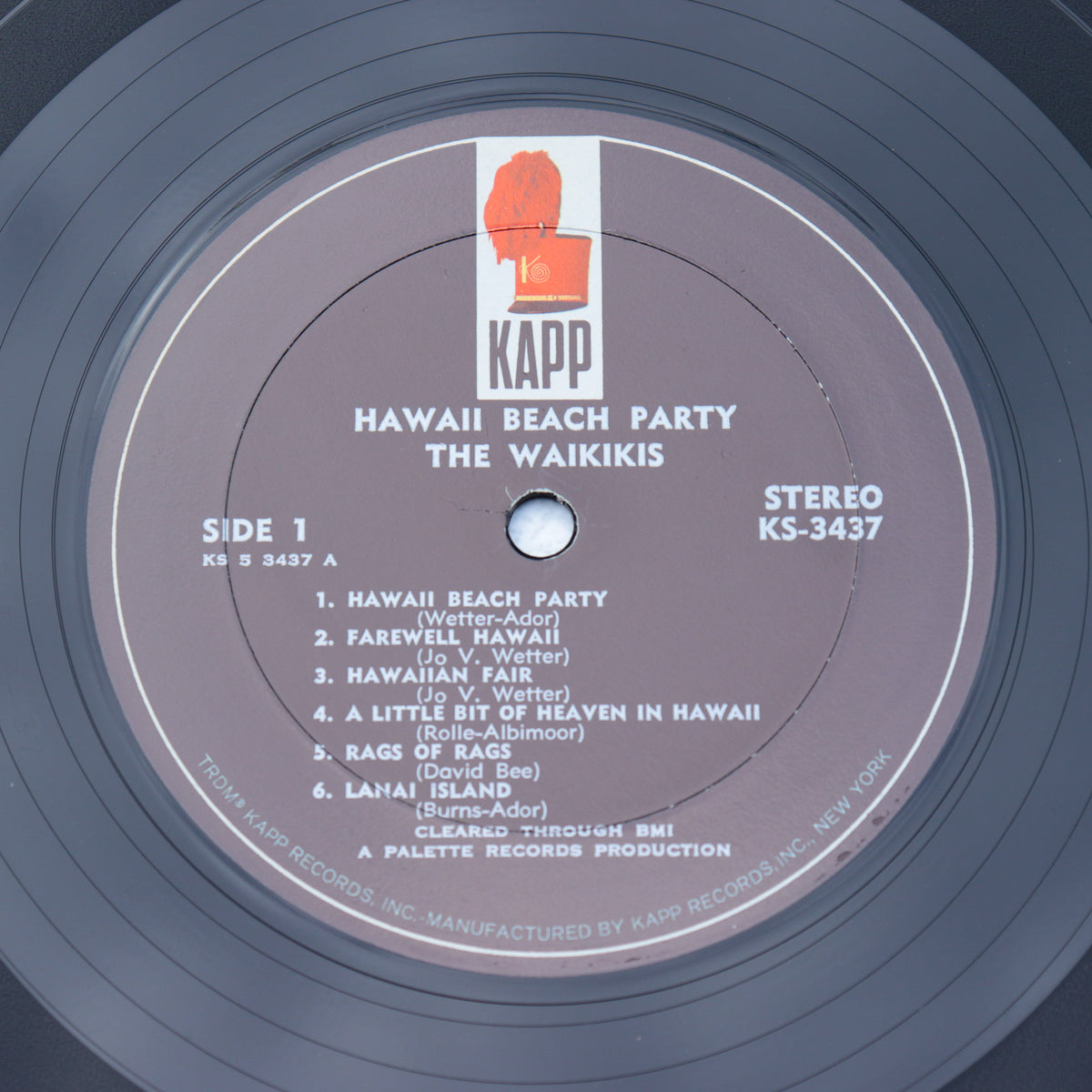 THE WAIKIKIS / Hawaii Beach Party
